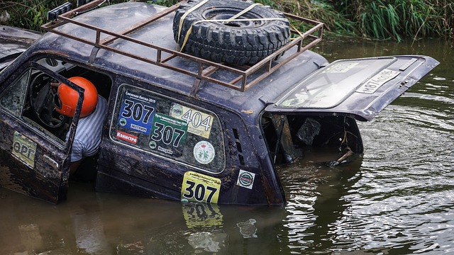 凭借阿方索 凭借阿方索