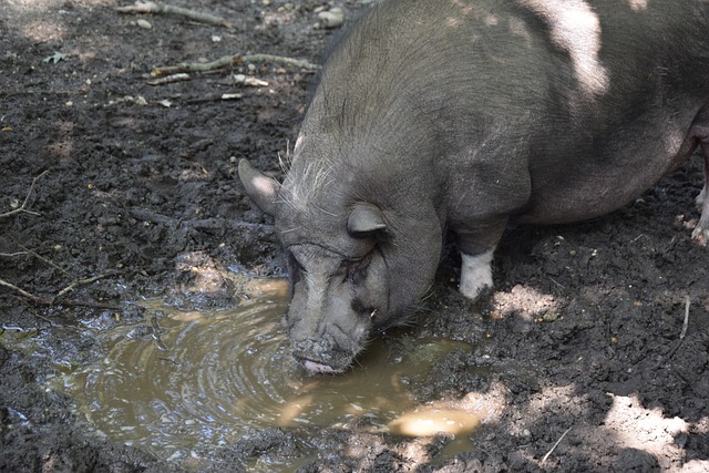 在與強敵對 在與強敵對