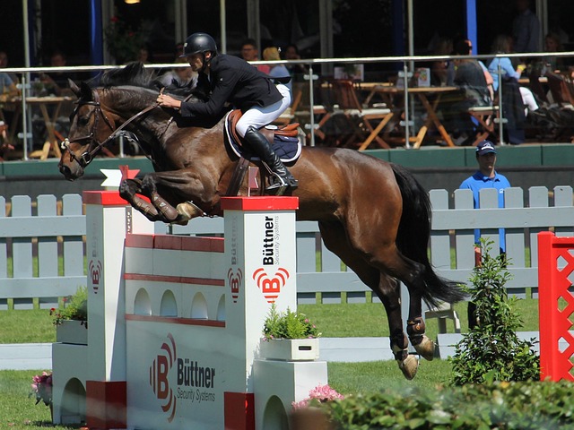 湖人队的东契奇和詹姆斯展现默契 打灰熊队战绩喜人.