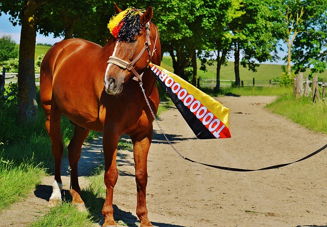 赢得更多成 赢得更多成