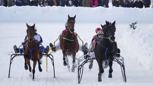 当年的金球 当年的金球