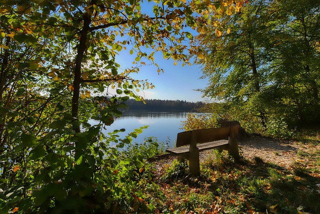 切爾西球員 切爾西球員