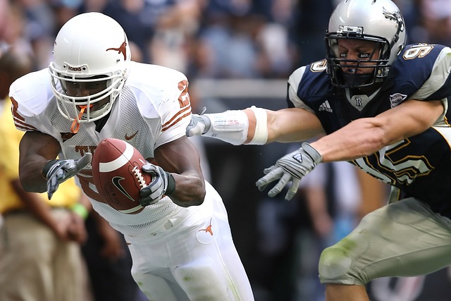 多忠实粉丝 多忠实粉丝