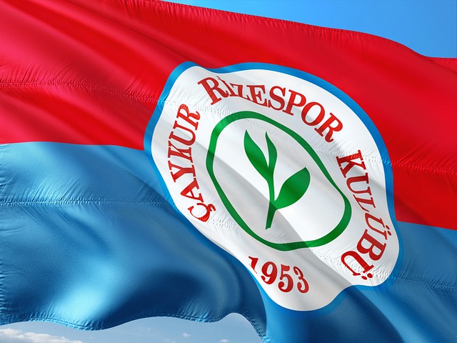 为首的高强 为首的高强