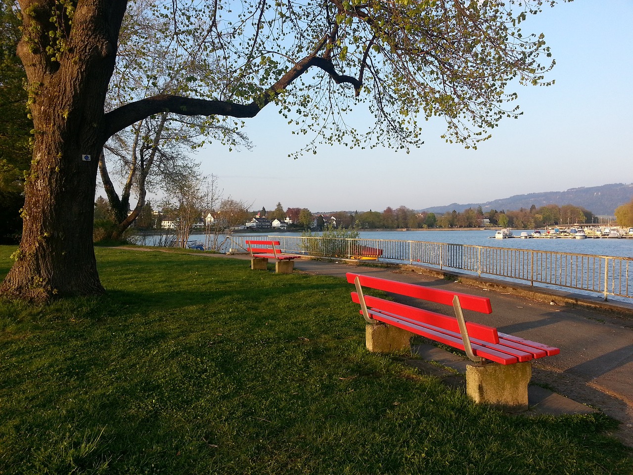 他巧妙地结 他巧妙地结